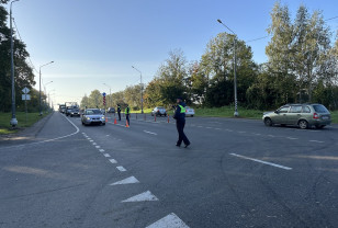 В Смоленске госавтоинспекторы 17 октября проведут «сплошные проверки» водителей