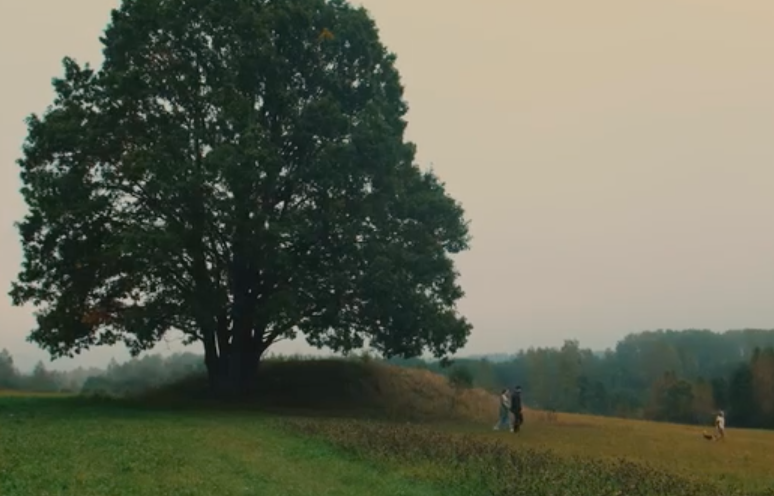 Василий Анохин поделился видеороликом о Смоленской области, представленным на конкурсе «Диво России»