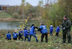 В Смоленске продолжают приводить в порядок берег Днепра