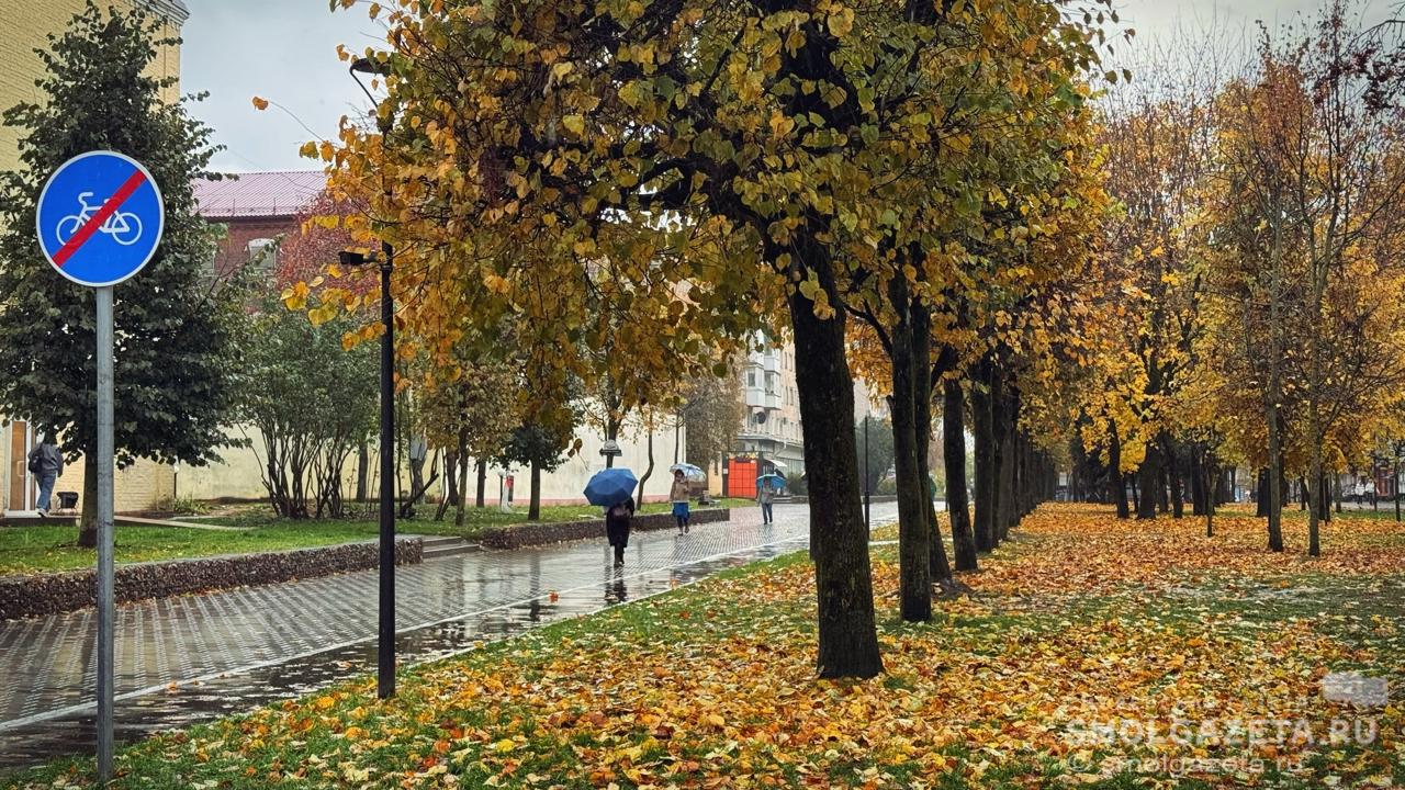 Смоленщину ждёт пасмурное воскресенье с осадками