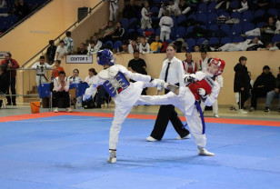 В Смоленске в соревнованиях по тхэквондо приняли участие спортсмены из 28 регионов России и Беларуси