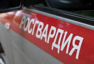 Смоленские росгвардейцы пресекли кражу из магазина