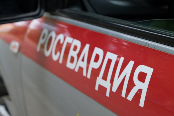 Смоленские росгвардейцы пресекли кражу из магазина