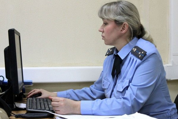 За злостную неуплату алиментов смолянка приговорена к 10 суткам административного ареста