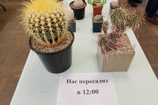 Правила колючего клуба