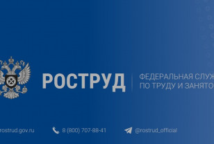 Что делать, если работодатель отказывает в трудоустройстве на работу?