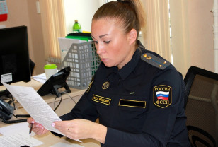 Приставы помогли смолянину отстоять земельный участок