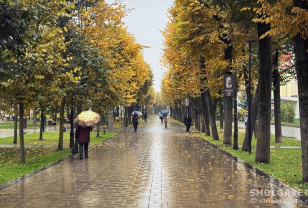 На завтра в Смоленской области прогнозируются небольшие дожди