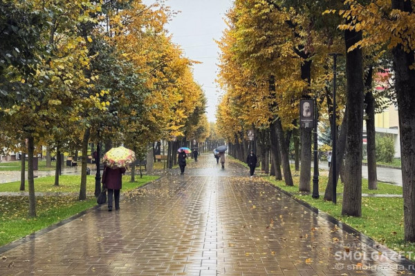 15 ноября в Смоленской области ожидается дождь с мокрым снегом