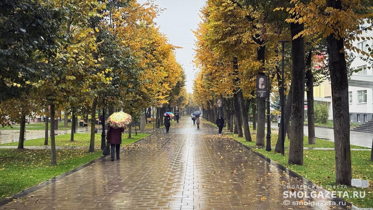 Смолянам рассказали о погоде 2 ноября
