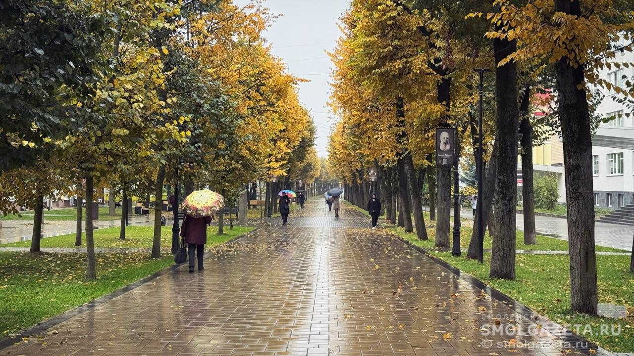 Завтра в Смоленской области опять будет дождливо