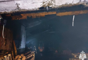 Ночью в Рославле вспыхнуло здание пилорамы. Есть погибший