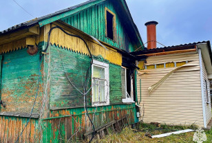 Смоленские пожарные спасли собаку из горящего дома