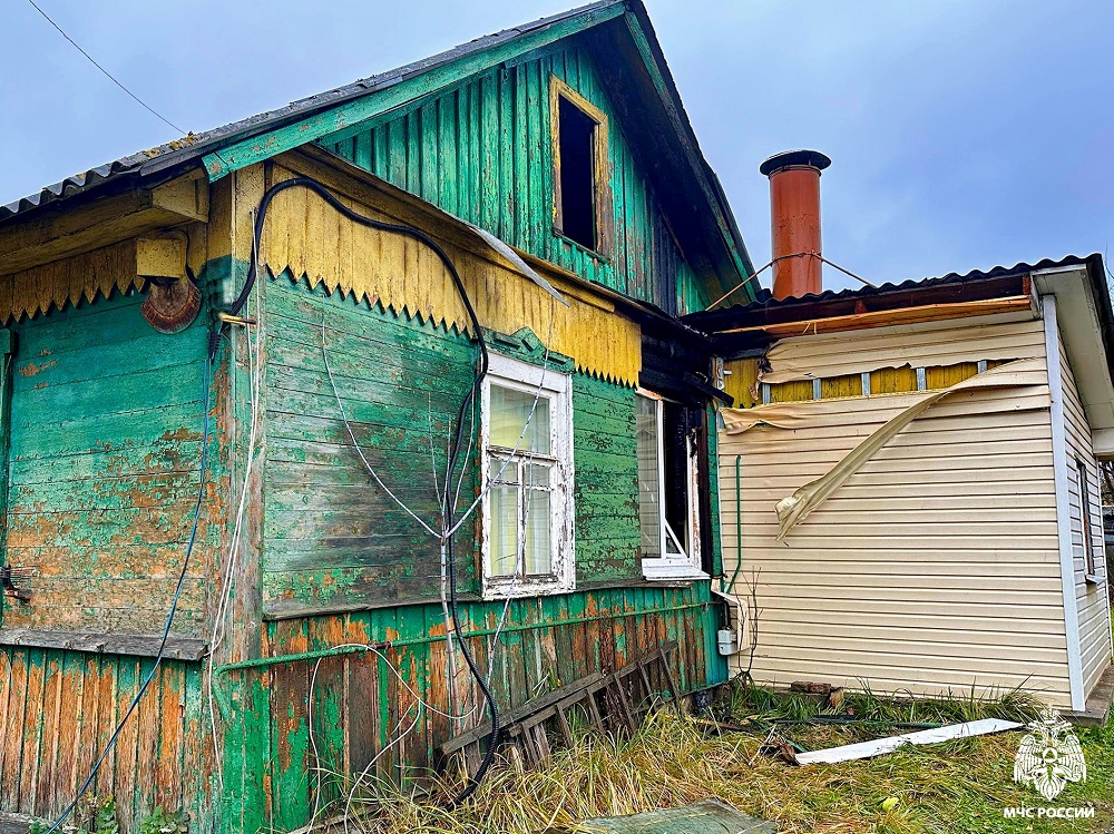 Смоленские пожарные спасли собаку из горящего дома