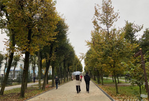 На завтра в Смоленской области прогнозируются небольшие дожди