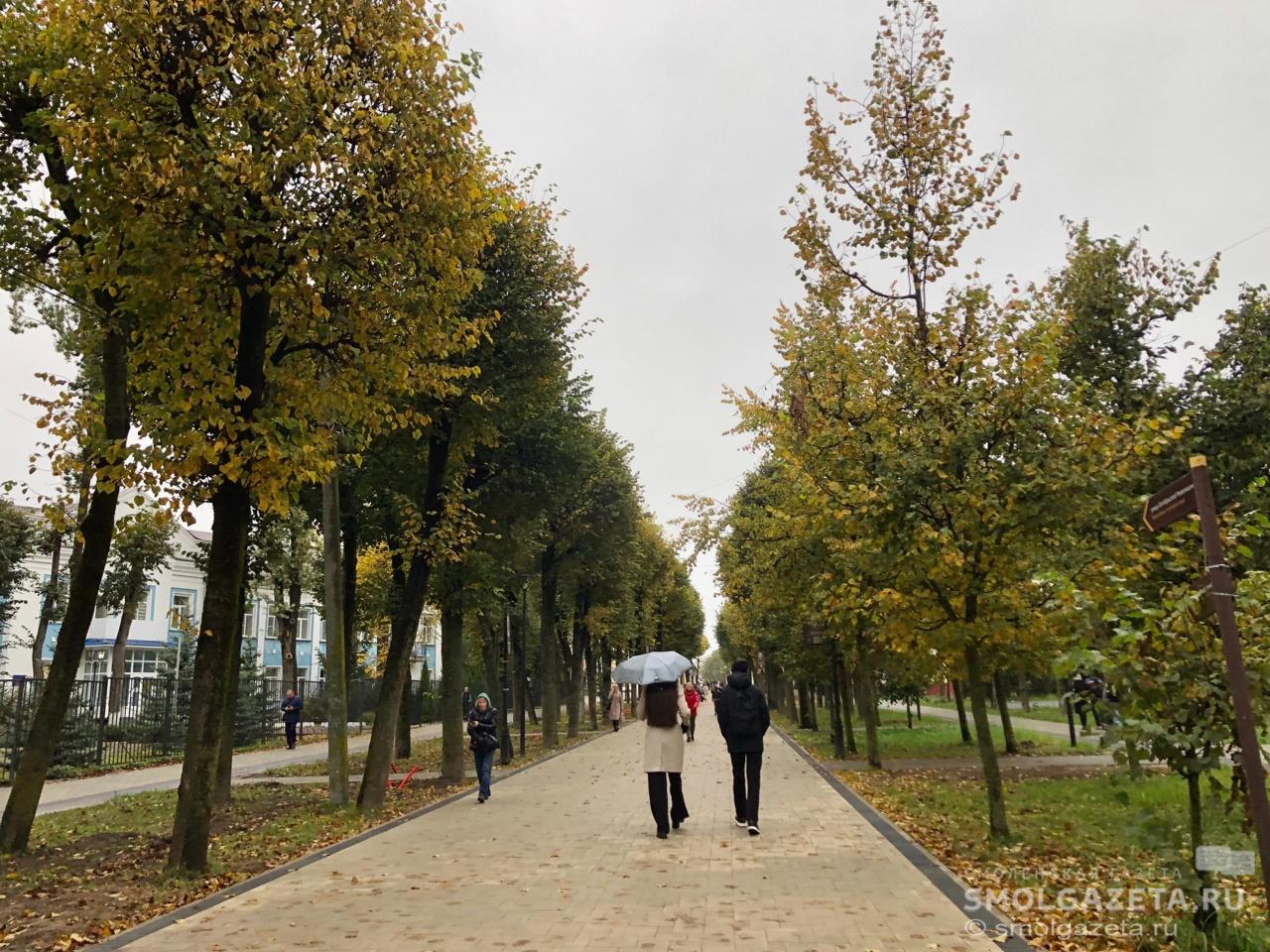 На завтра в Смоленской области прогнозируются небольшие дожди