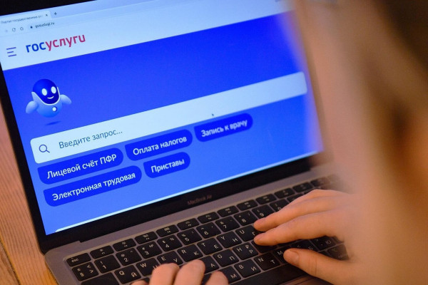 Смоляне подали более трёх миллионов заявлений через «Госуслуги»
