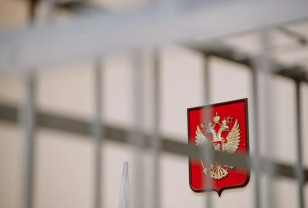 Материалы дела о незаконной вырубке берёз в Смоленске передали в прокуратуру