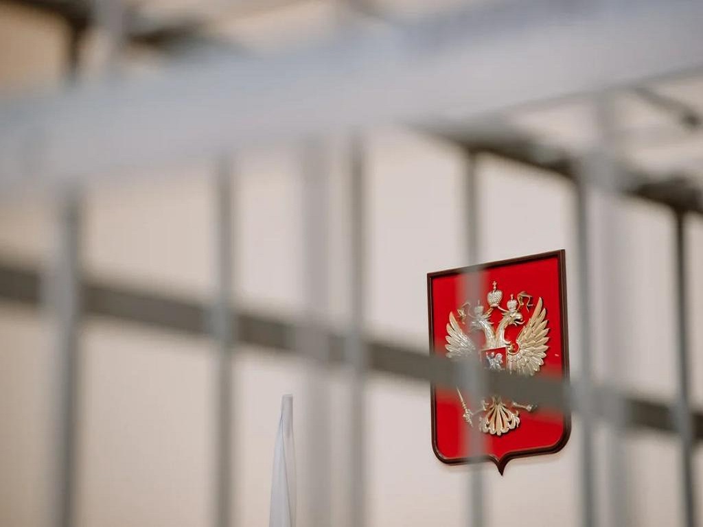 Материалы дела о незаконной вырубке берёз в Смоленске передали в прокуратуру