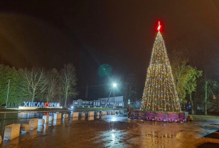 В Смоленской области появилась первая новогодняя ёлка