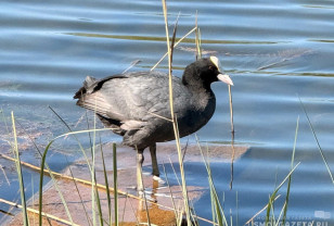 Завтра в Смоленской области будет облачно