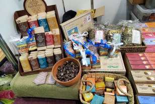 В Смоленской области действуют десятки мер поддержки предпринимателей