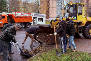 Накануне Дня народного единства смоленские атомщики провели экологический субботник в Десногорске
