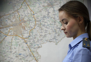 Бензопила смоленского нарушителя конфискована за незаконную рубку леса