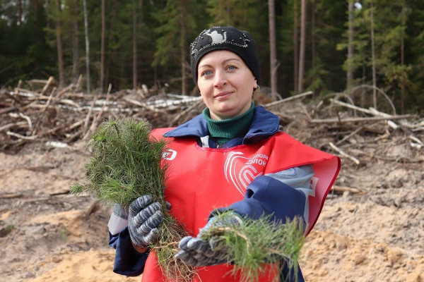 Смоленская область активно участвует в масштабной акции «Сохраним лес»