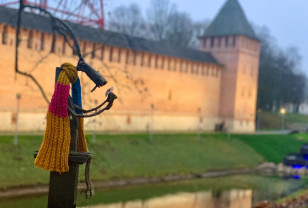 11 ноября в Смоленской области будет дождливо