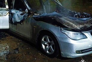 В Смоленском округе на ходу загорелась легковушка