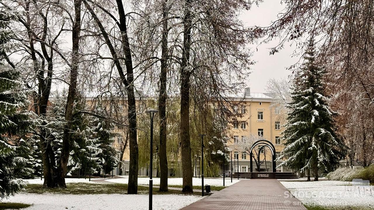 Какая погода ждёт смолян 16 ноября