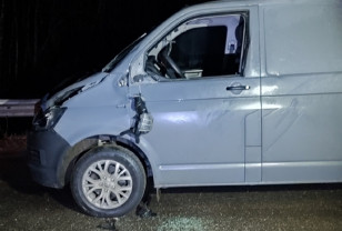 В Кардымовском округе водитель микроавтобуса пострадал в результате наезда на лося