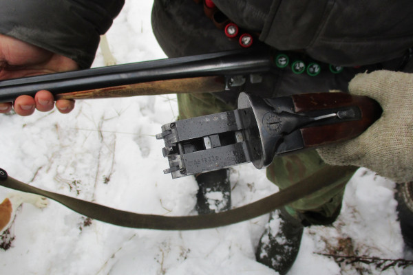 Житель Подмосковья подозревается в незаконном отстреле лося в Смоленской области