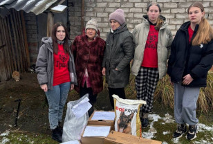 Смоленские единороссы передали корм в приюты для кошек и собак