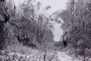 Более 340 энергетиков в круглосуточном режиме продолжают устранять последствия непогоды в Смоленской области