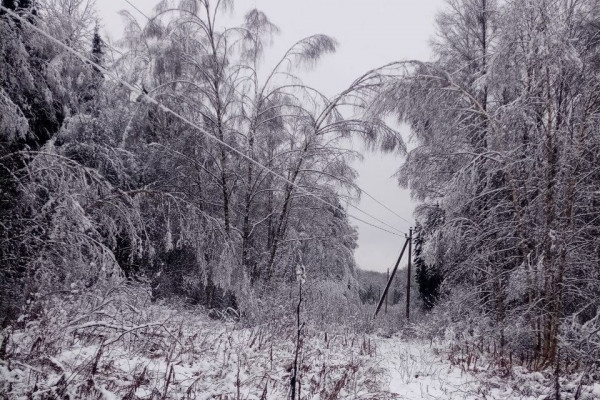 Более 340 энергетиков в круглосуточном режиме продолжают устранять последствия непогоды в Смоленской области