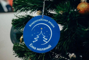 Смоленская область исполняет детские мечты на «Ёлке желаний»