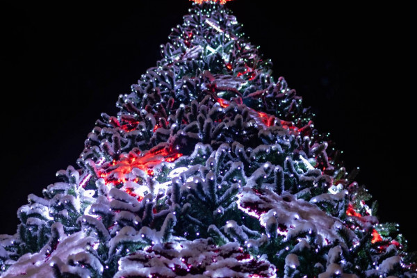 Где в Смоленске установят новогодние ёлки