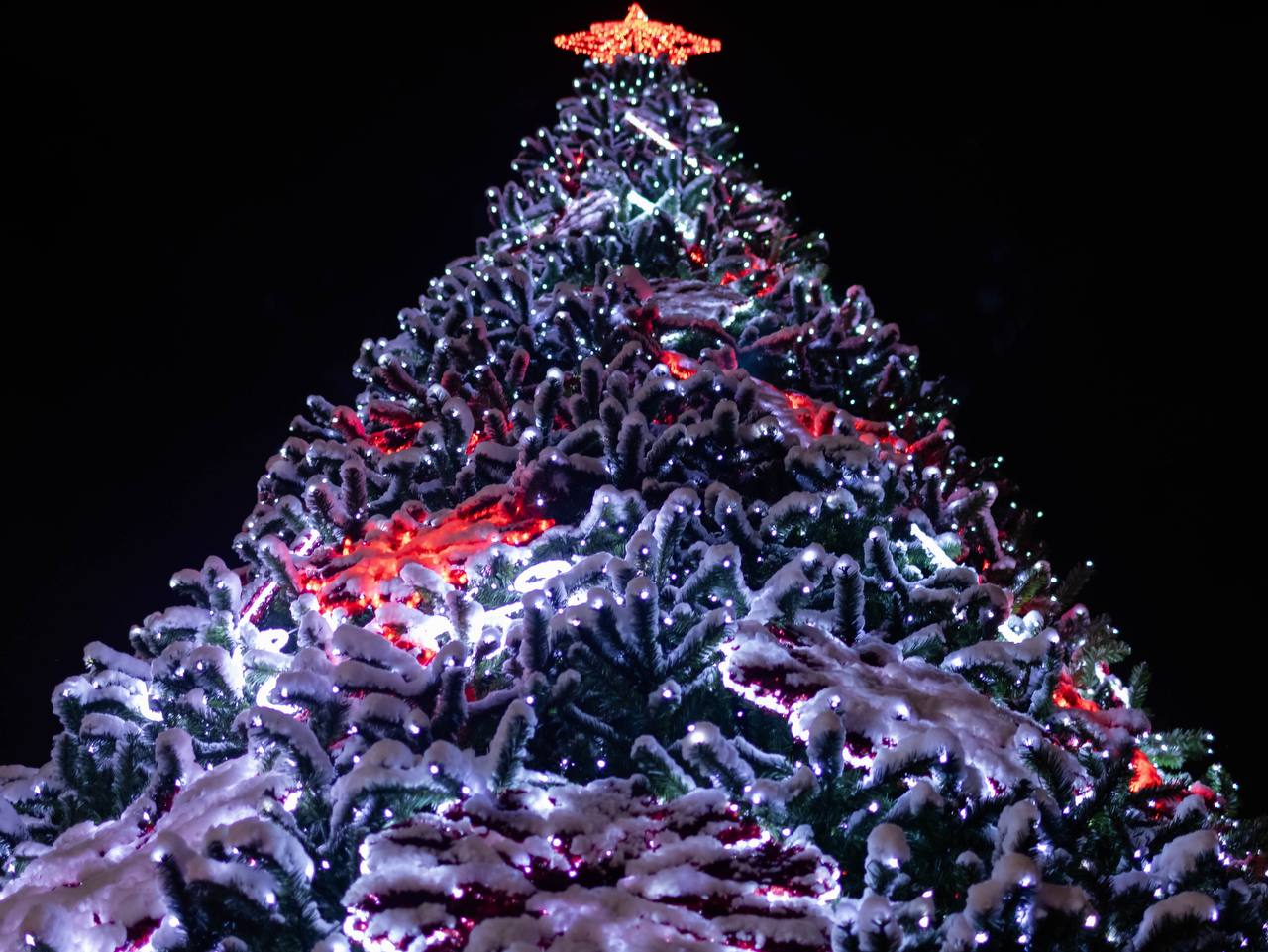 Где в Смоленске установят новогодние ёлки