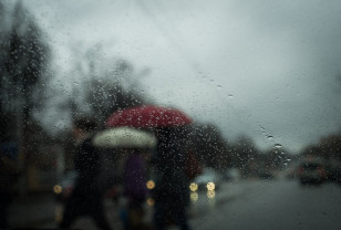 Облачная погода с осадками ожидается в Смоленской области в среду