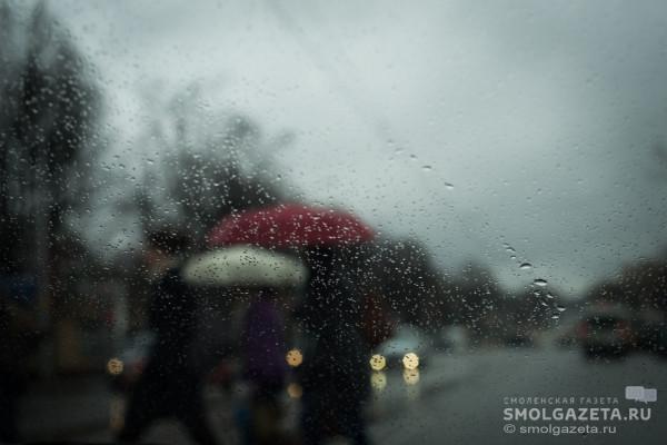 Облачная погода с осадками ожидается в Смоленской области в среду