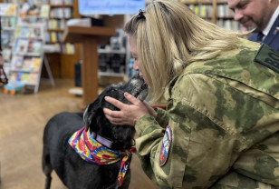 Смоленские активисты собрали полторы тонны помощи для бездомных животных