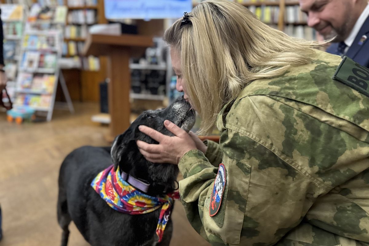 Смоленские активисты собрали полторы тонны помощи для бездомных животных