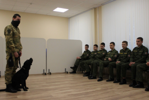 В Смоленской области кинологи Росгвардии провели встречу с кадетами