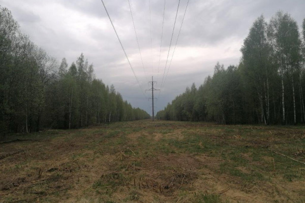 Смоленский филиал «Россети Центр» расчистил 2,4 тыс. гектаров просек линий электропередачи