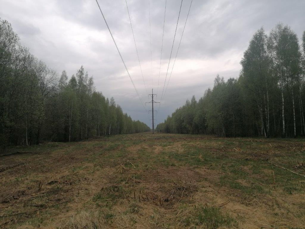 Смоленский филиал «Россети Центр» расчистил 2,4 тыс. гектаров просек линий электропередачи