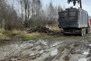 В Смоленской области оперативно устранили свалку по предписанию Россельхознадзора