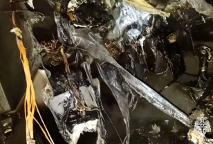 В Велиже возле дома на улице Ленина вспыхнул автомобиль