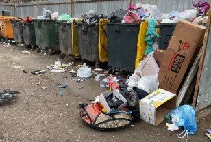 Александр Новиков инициировал создание рабочей группы по проблемам с мусором в Смоленске